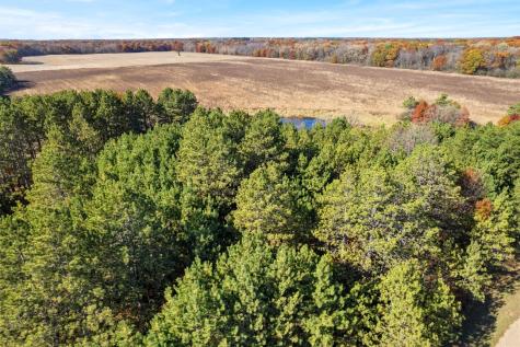 Lot 1 175th Avenue SE Becker MN 55308