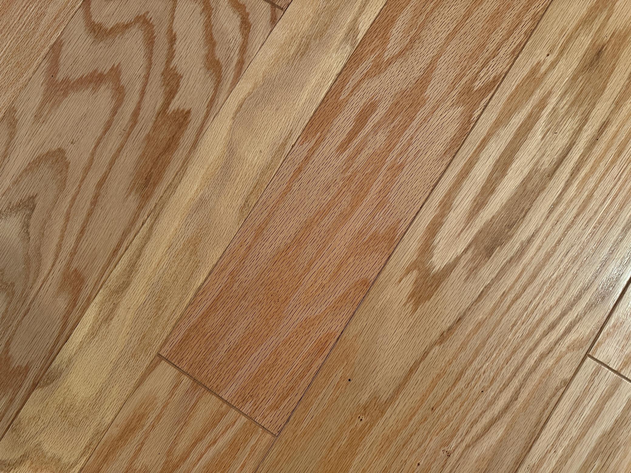 5904 Lake May Drive NW Akeley MN 56433