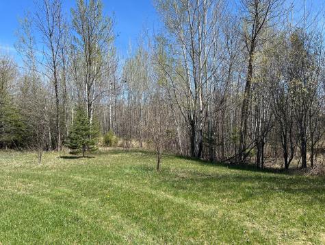 6972 16th Street NW Williams MN 56686