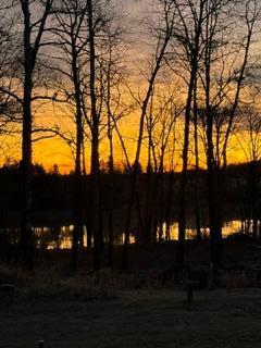 11777 State Highway 11 SE Baudette MN 56623