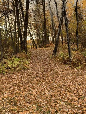 11777 State Highway 11 SE Baudette MN 56623