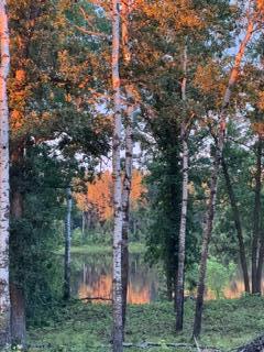 11777 State Highway 11 SE Baudette MN 56623