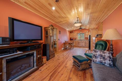51748 Pine Point Lane Bigfork MN 56628