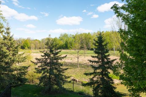 16615 52nd Avenue N Plymouth MN 55446