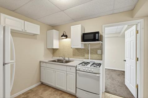 15493 Yellow Pine Street NW Andover MN 55304