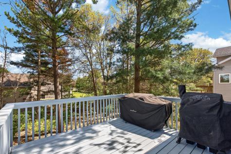 15493 Yellow Pine Street NW Andover MN 55304
