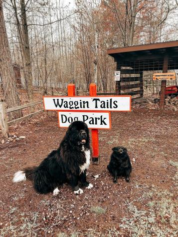 28931 Tall Moon Circle Danbury WI 54830