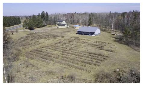 11904 Cardinal Road NW Bemidji MN 56601