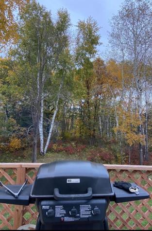11904 Cardinal Road NW Bemidji MN 56601
