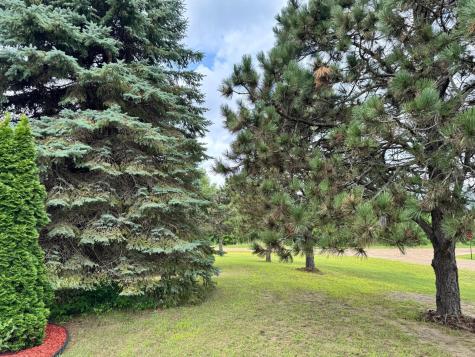 246 Park Circle Ottertail MN 56571
