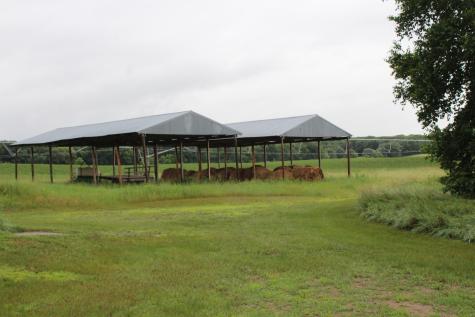 34497 Quiken Road Motley MN 56466