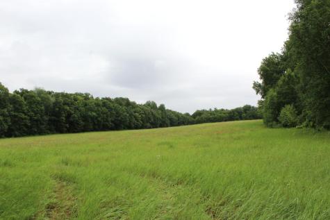 34497 Quiken Road Motley MN 56466