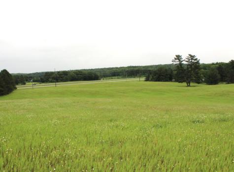34497 Quiken Road Motley MN 56466
