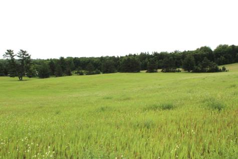 34497 Quiken Road Motley MN 56466