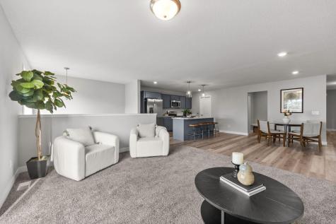 316 Distel Drive Le Sueur MN 56058
