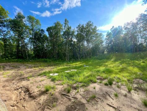 29939 Patriot Avenue Pequot Lakes MN 56472