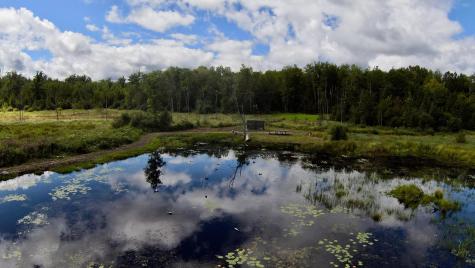 4030 North Road Moose Lake MN 55767