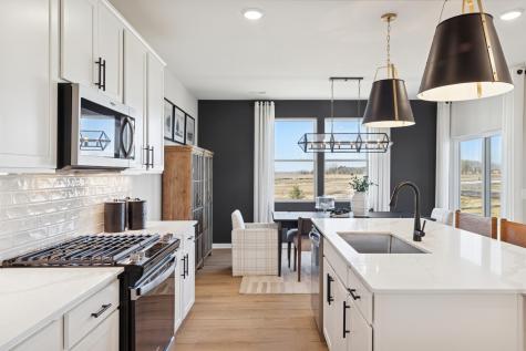 15026 Askeaton Place Rosemount MN 55068