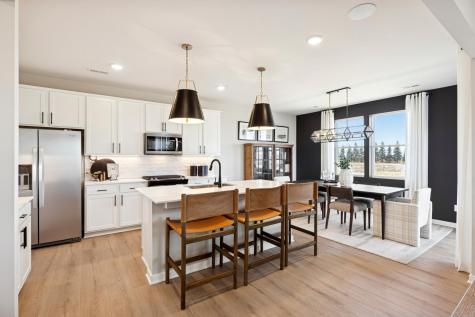 15026 Askeaton Place Rosemount MN 55068