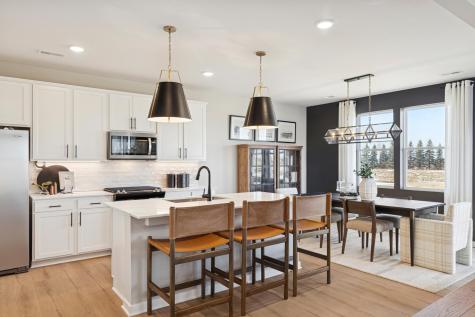 15026 Askeaton Place Rosemount MN 55068