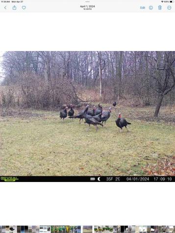 36649 Ember Drive Lanesboro MN 55949