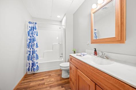 2920 97th Court Plato MN 55370