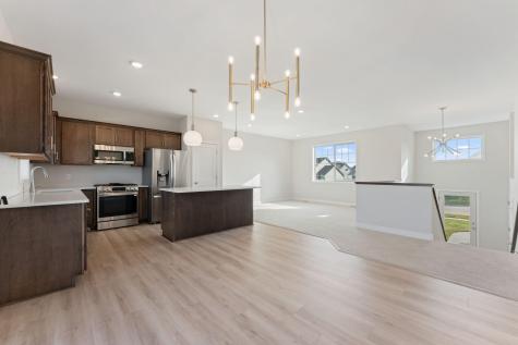 1421 142nd Court E Rosemount MN 55068