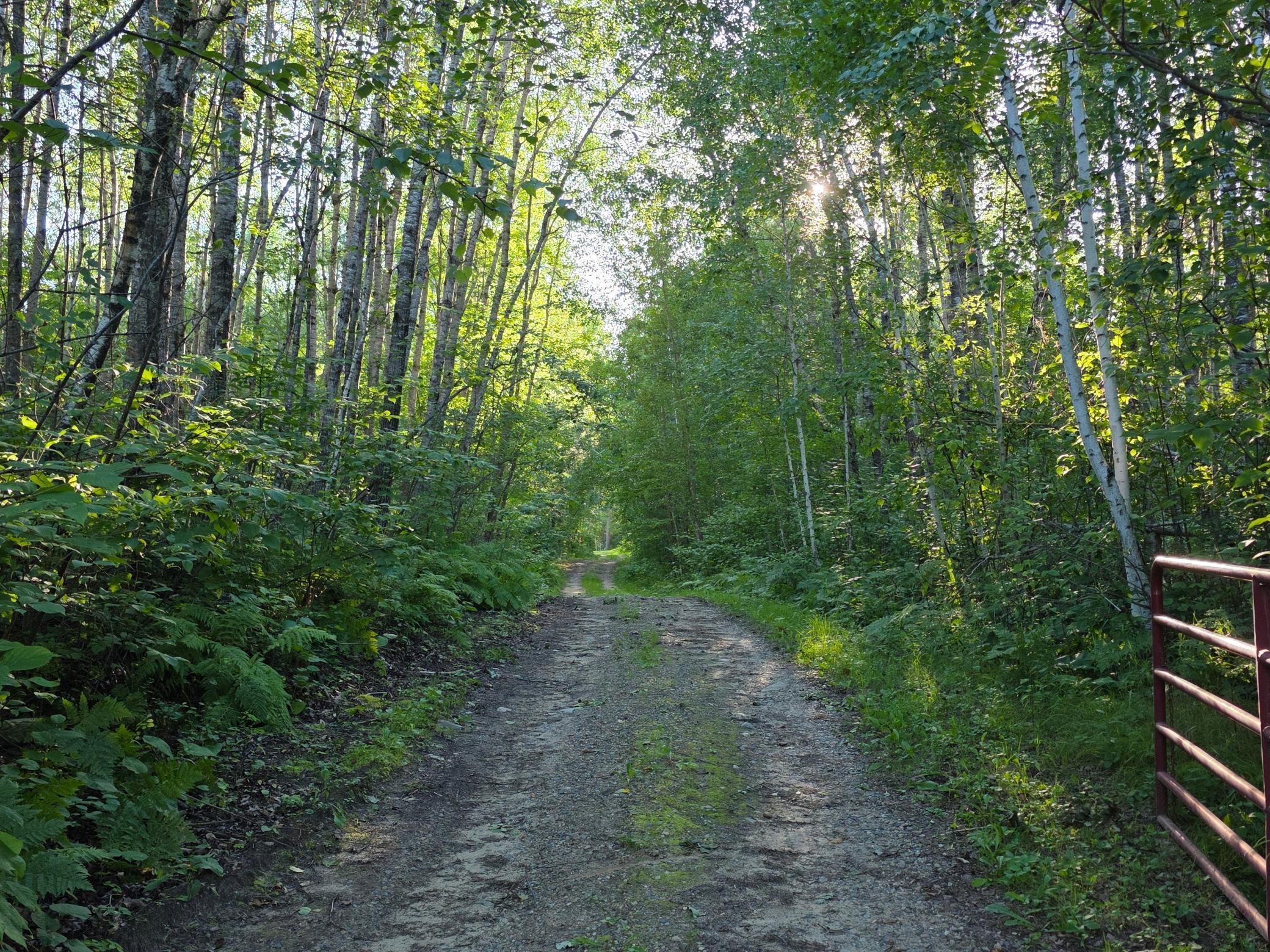 351 Pine Mountain Lake Road NW Backus MN 56435