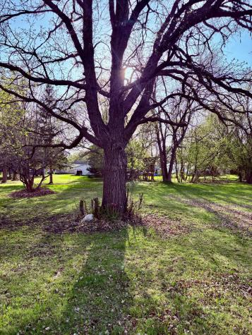 1118 11th Avenue International Falls MN 56649