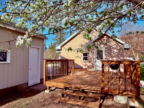 1118 11th Avenue International Falls MN 56649