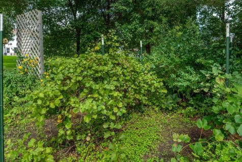 3607 Pebble Hills Drive Fergus Falls MN 56537