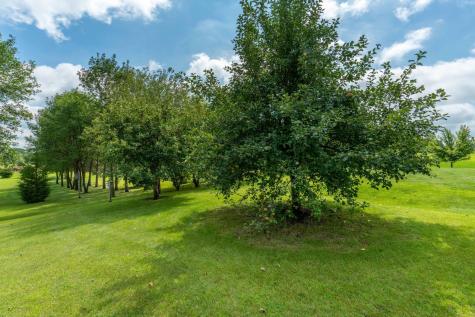 3607 Pebble Hills Drive Fergus Falls MN 56537