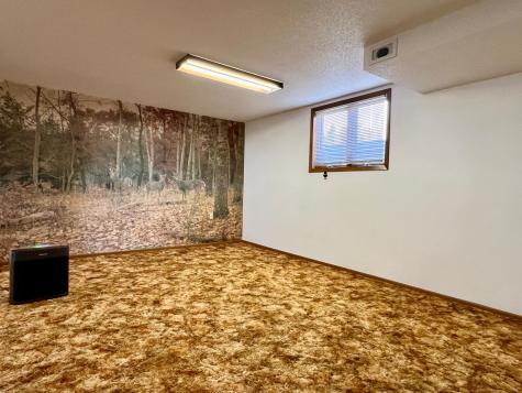 509 1st Street Bellingham MN 56212