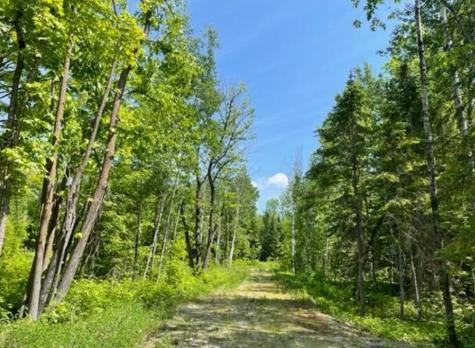 11847 12th Avenue NE Federal Dam MN 56641