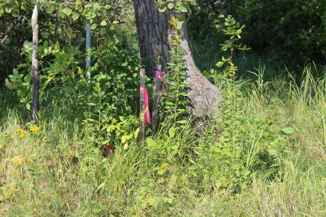 29957 436th Place Aitkin MN 56431