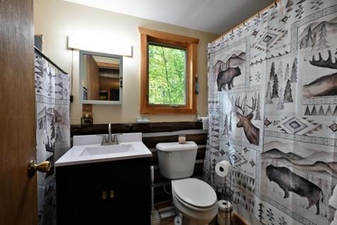 W3905 Leesome Lake Road Sarona WI 54870