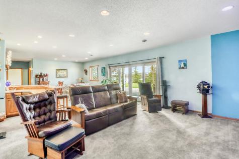 29701 Buffalo Run Rochert MN 56578