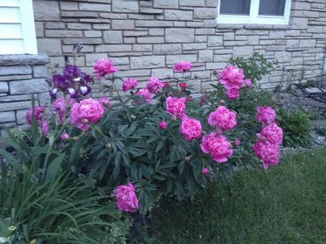 5616 Beard Avenue S Edina MN 55410
