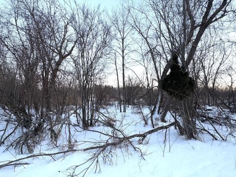 38192 Walker Lake Drive Richville MN 56576