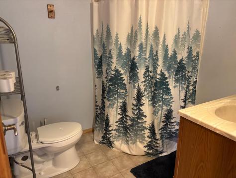 18196 N Blackduck Lake Road NE Hines MN 56647