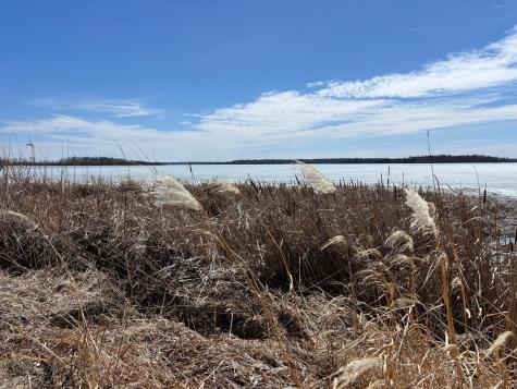 18196 N Blackduck Lake Road NE Hines MN 56647