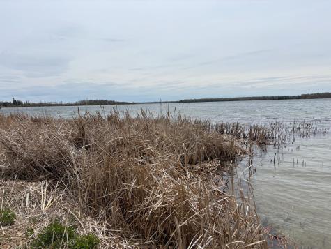 18196 N Blackduck Lake Road NE Hines MN 56647