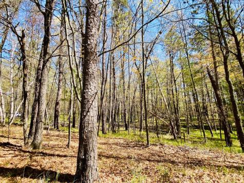 1297 Dock Lake Road Spooner WI 54801