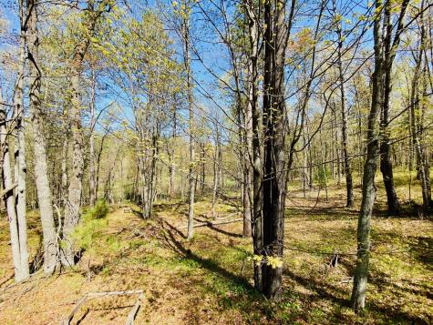 1297 Dock Lake Road Spooner WI 54801
