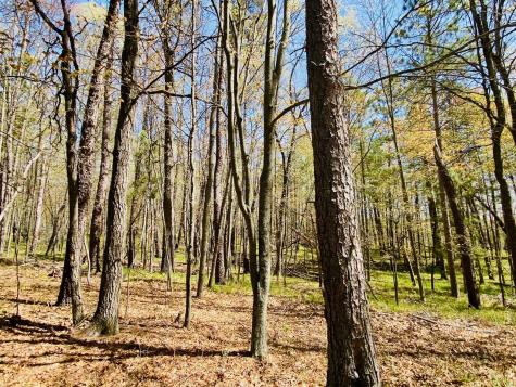 1297 Dock Lake Road Spooner WI 54801
