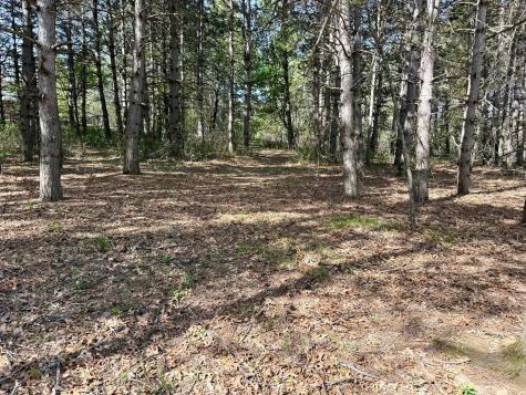 28110 112th Street NW Zimmerman MN 55398