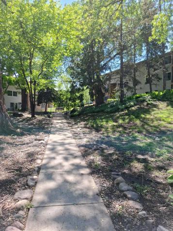 10301 Cedar Lake Road Hopkins MN 55305