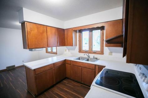 581 Pleasant Street Dassel MN 55325