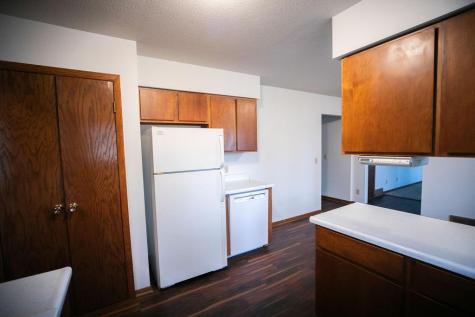 581 Pleasant Street Dassel MN 55325