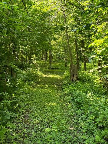21168 Klein Road Detroit Lakes MN 56501